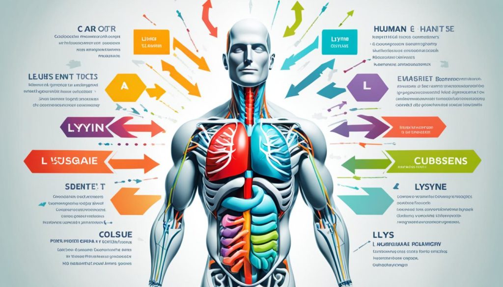 L-Lysine importance